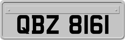 QBZ8161