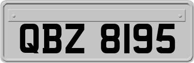 QBZ8195