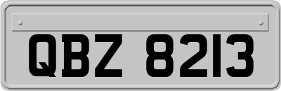 QBZ8213