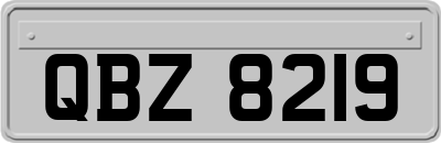 QBZ8219