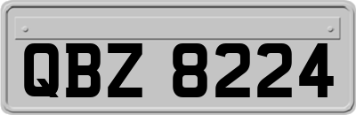 QBZ8224