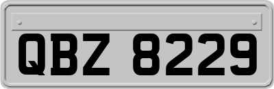 QBZ8229