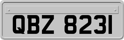 QBZ8231
