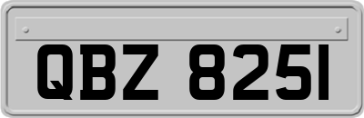 QBZ8251