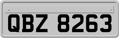 QBZ8263
