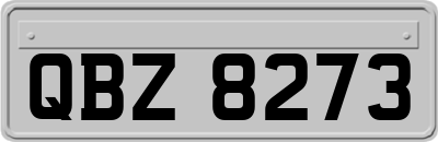 QBZ8273
