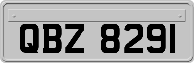 QBZ8291