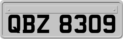 QBZ8309