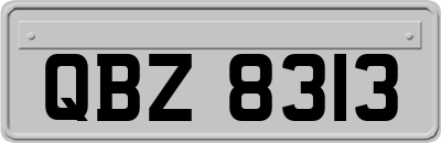 QBZ8313