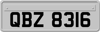 QBZ8316
