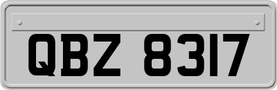 QBZ8317