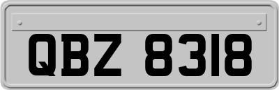QBZ8318