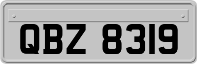 QBZ8319
