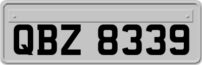 QBZ8339