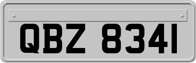 QBZ8341