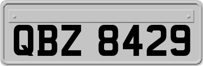 QBZ8429