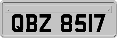 QBZ8517