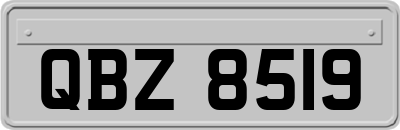 QBZ8519