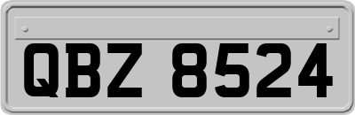 QBZ8524