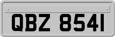 QBZ8541