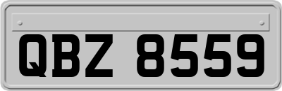 QBZ8559