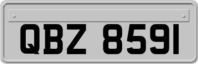 QBZ8591