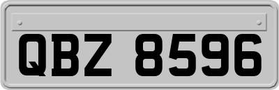 QBZ8596