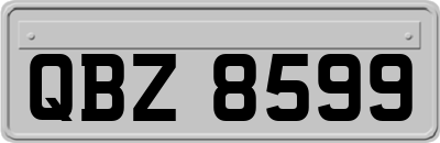 QBZ8599