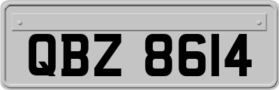 QBZ8614