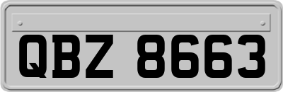 QBZ8663