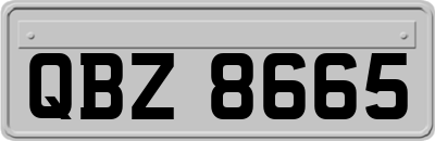 QBZ8665