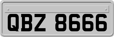 QBZ8666