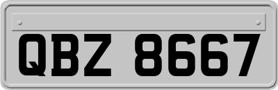 QBZ8667