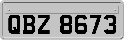 QBZ8673