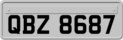QBZ8687