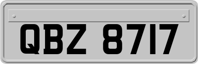 QBZ8717