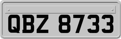 QBZ8733