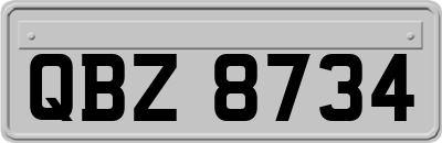 QBZ8734