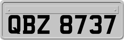 QBZ8737