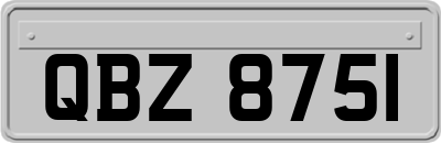 QBZ8751