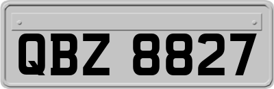 QBZ8827