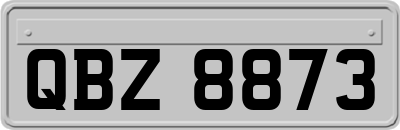 QBZ8873