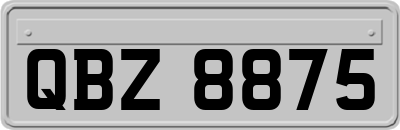QBZ8875
