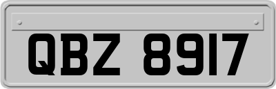 QBZ8917
