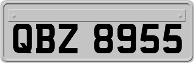 QBZ8955