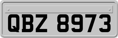 QBZ8973