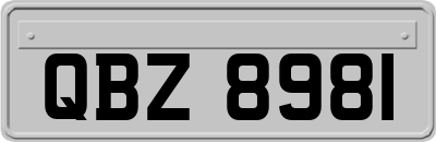QBZ8981