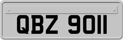 QBZ9011