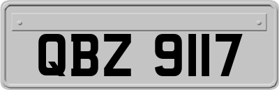 QBZ9117