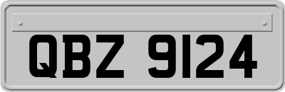 QBZ9124